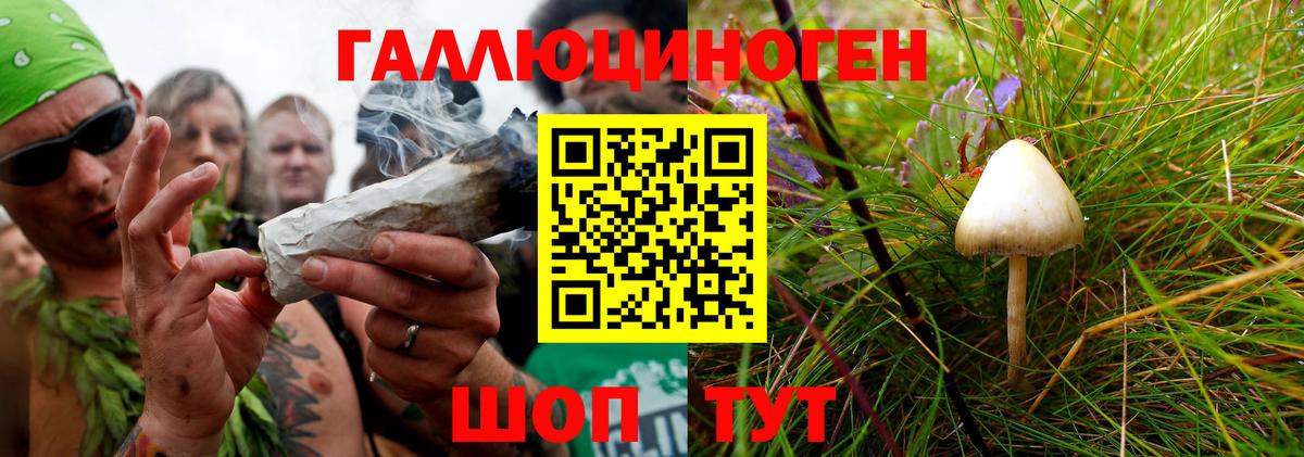 Псилоцибиновые грибы Psilocybe  Вход с VPN  Галлюциногенные грибы Psilocybe  Тавда 