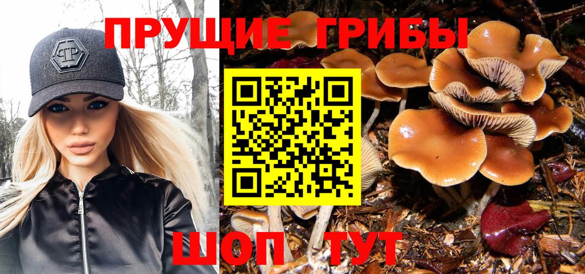 Псилоцибиновые грибы MAGIC MUSHROOMS Тавда